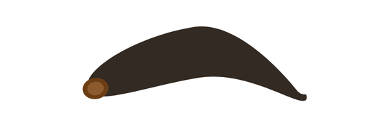 Orta Boy Sülük Resimleri Fotoğrafları Isparta Sülük Sağlıklı Yaşam Çiftliği